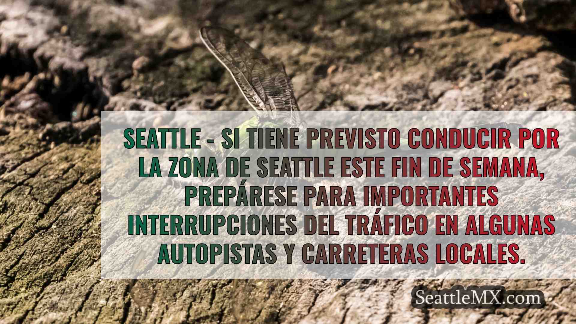Noticias de Seattle SeattleMX