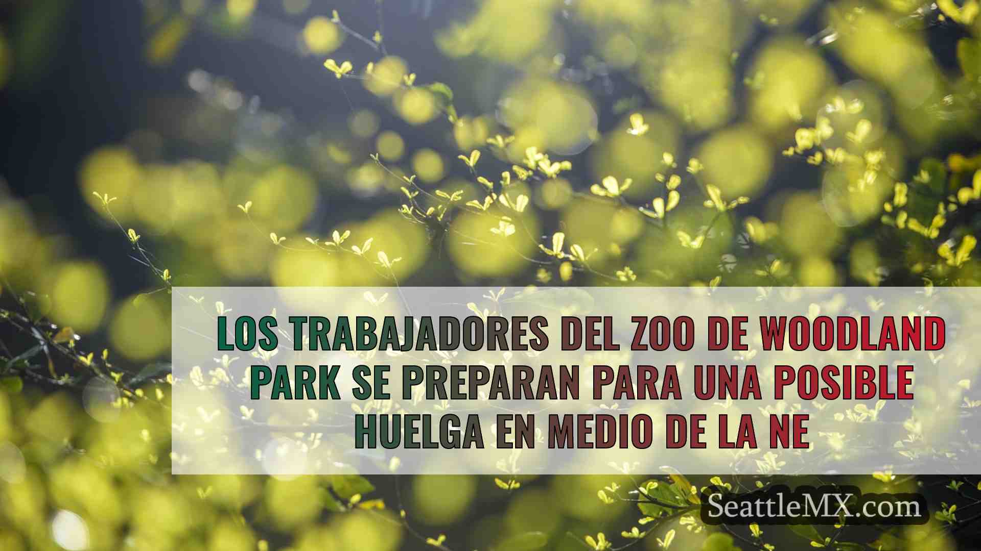 Noticias de Seattle SeattleMX
