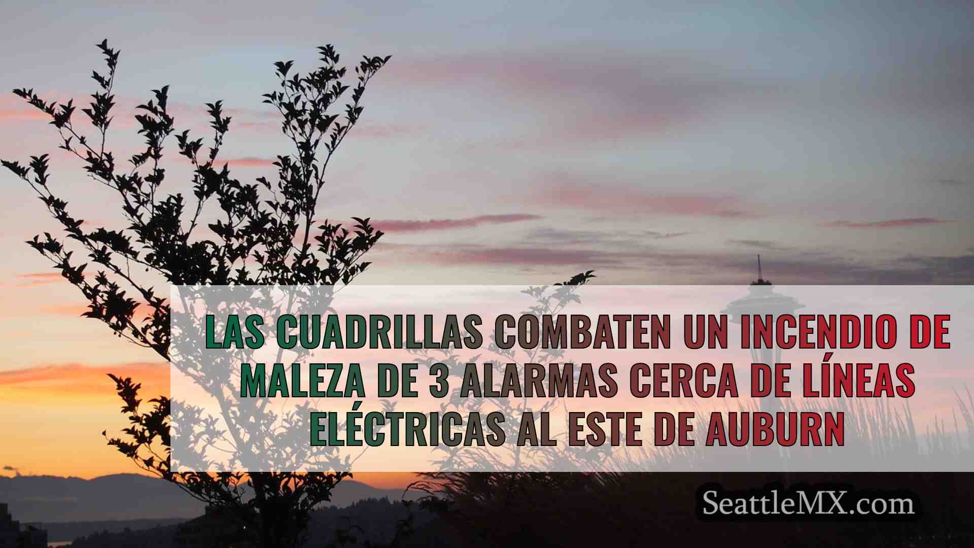 Las cuadrillas combaten un incendio de