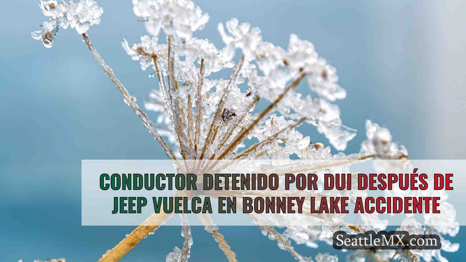 Noticias de Seattle SeattleMX