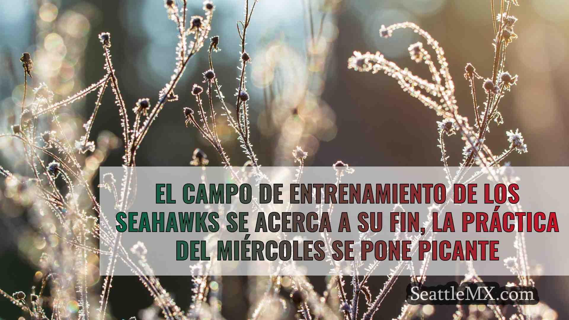 Noticias de Seattle SeattleMX