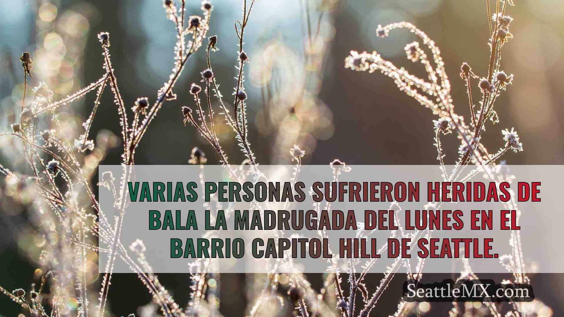 Noticias de Seattle SeattleMX