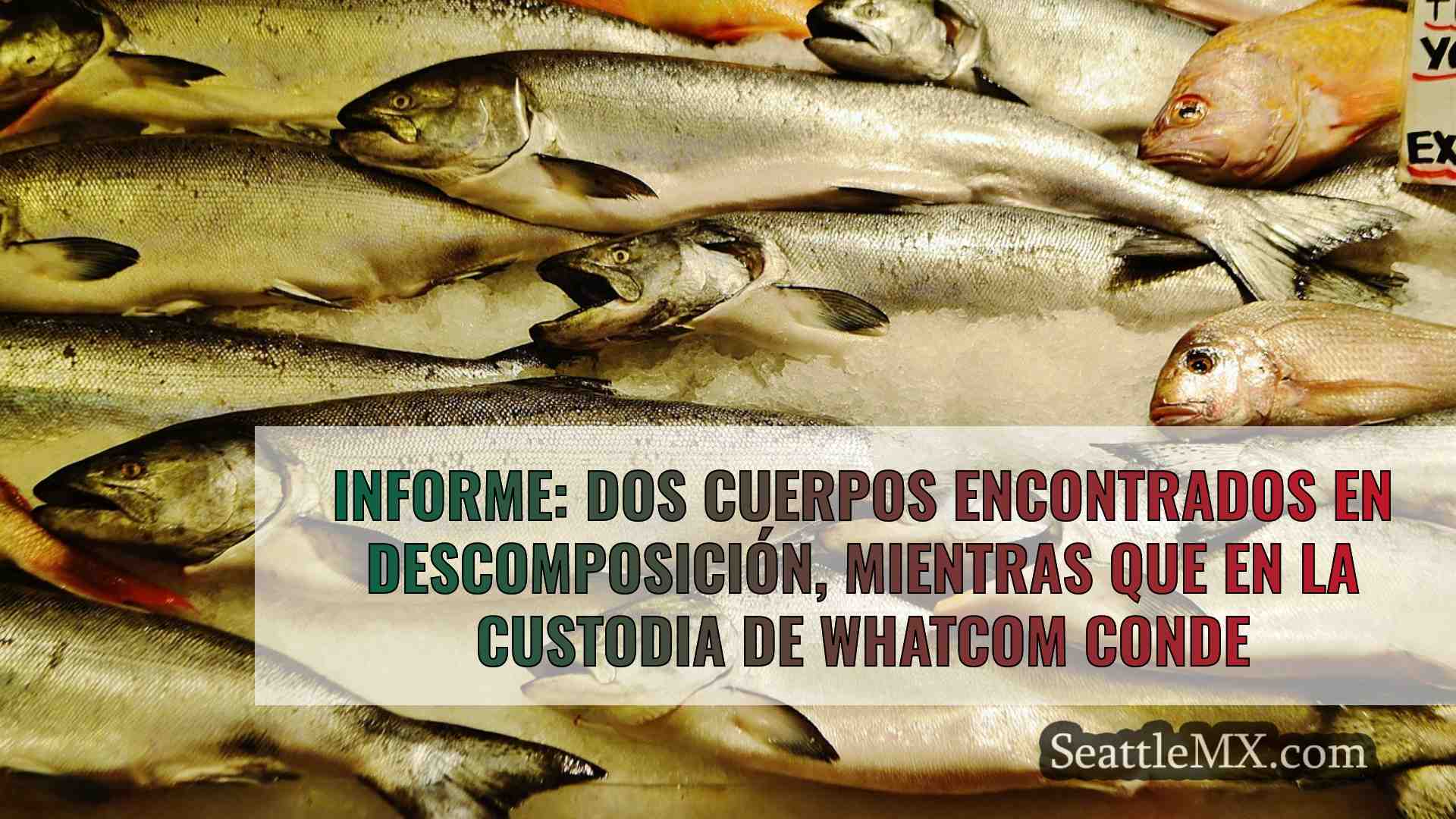 Informe: Dos cuerpos hallados en