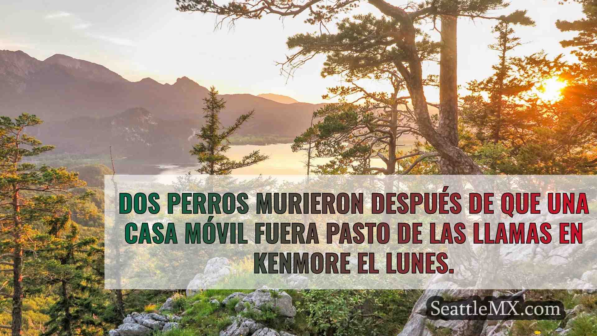 Noticias de Seattle SeattleMX