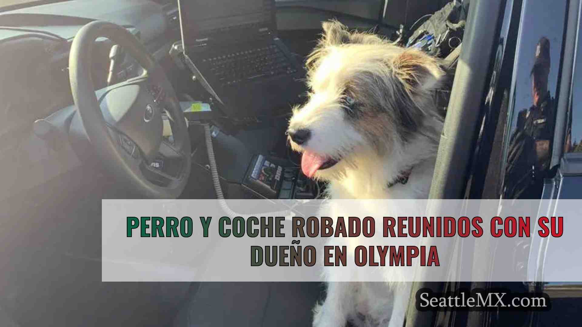 Perro y coche robado reunidos con su