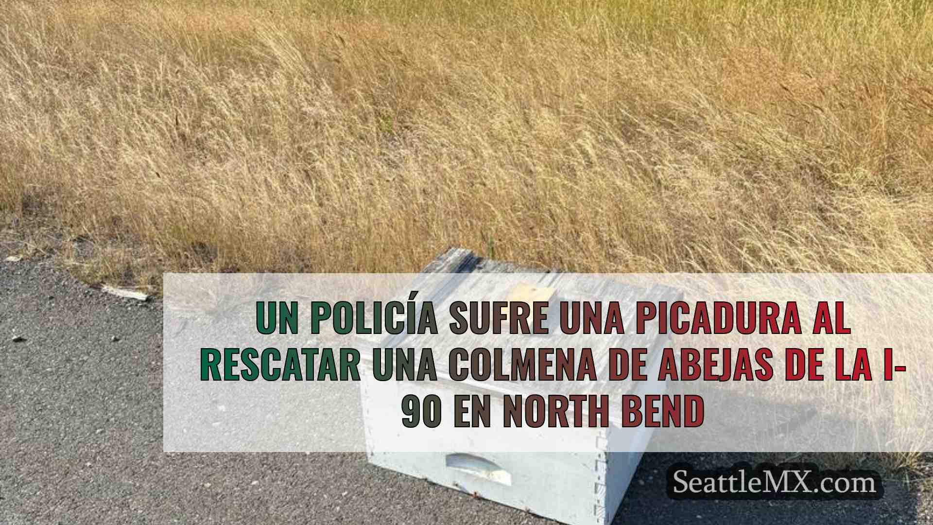 Un policía sufre una picadura al