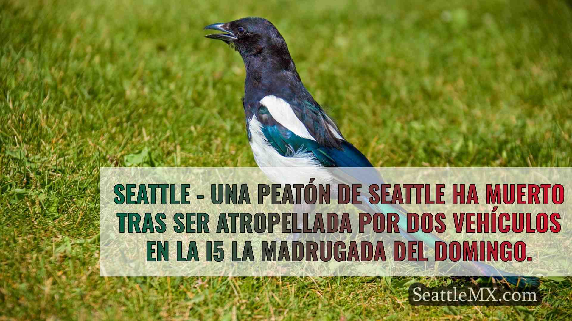 Noticias de Seattle SeattleMX