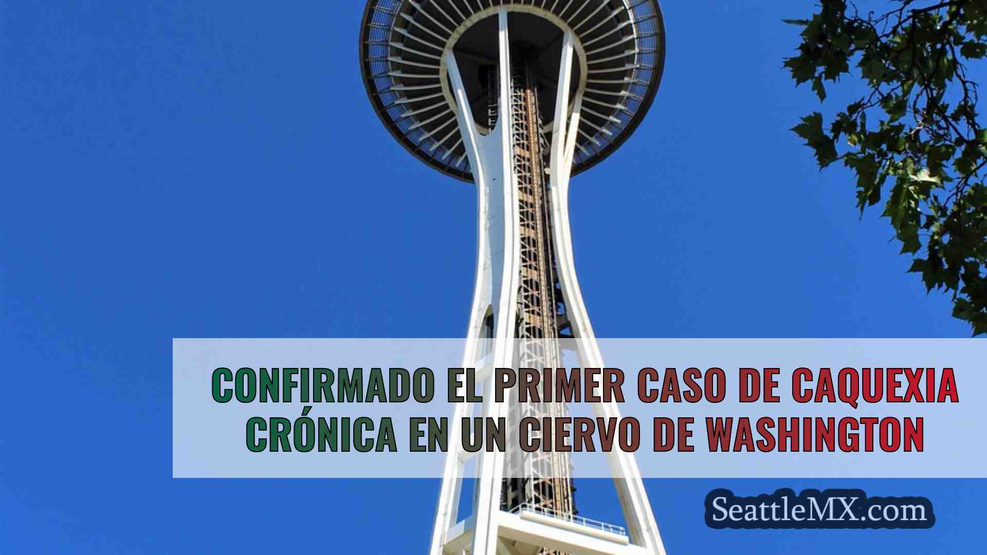 Noticias de Seattle SeattleMX