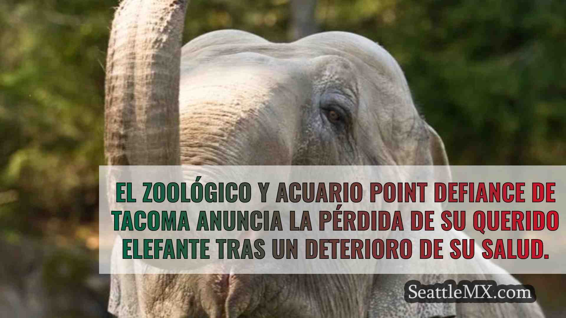 Noticias de Seattle SeattleMX
