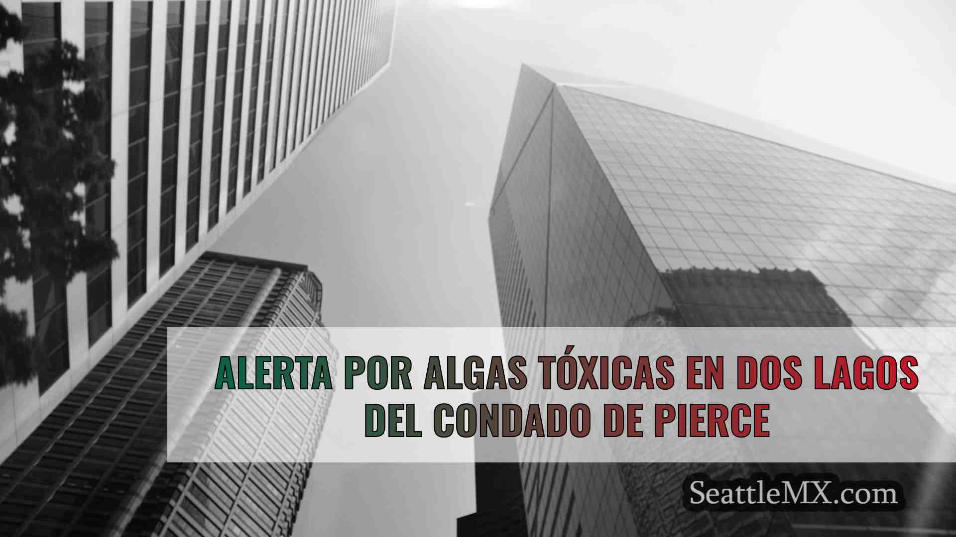 Noticias de Seattle SeattleMX
