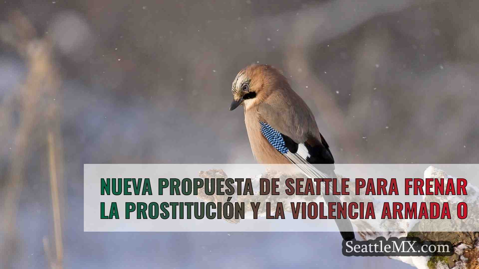 Noticias de Seattle SeattleMX