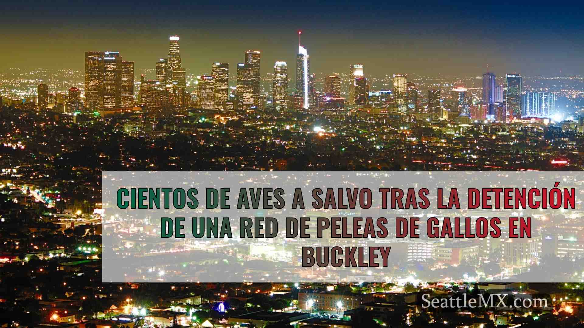 Noticias de Seattle SeattleMX