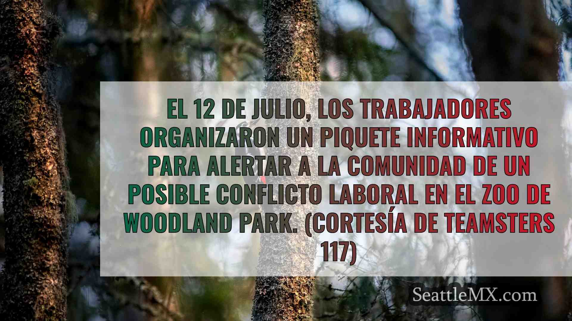 Noticias de Seattle SeattleMX