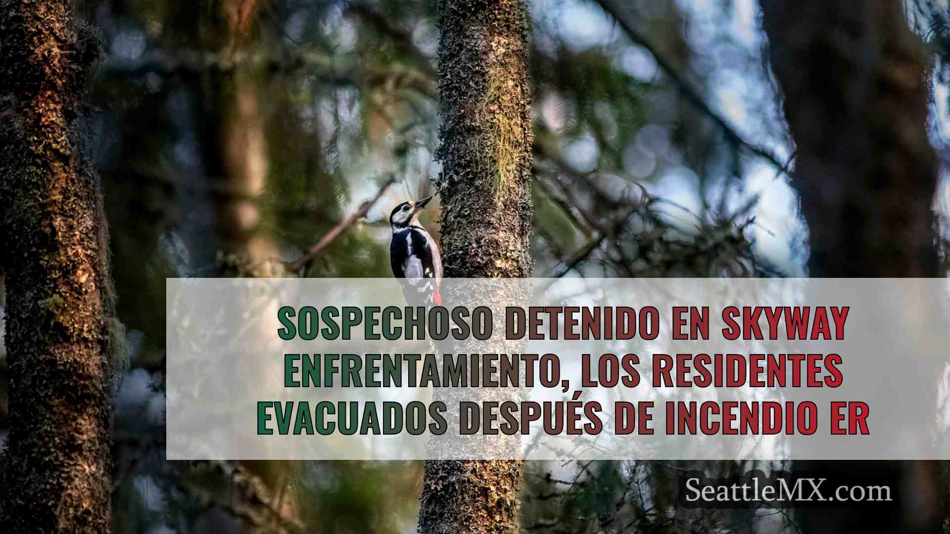 Noticias de Seattle SeattleMX