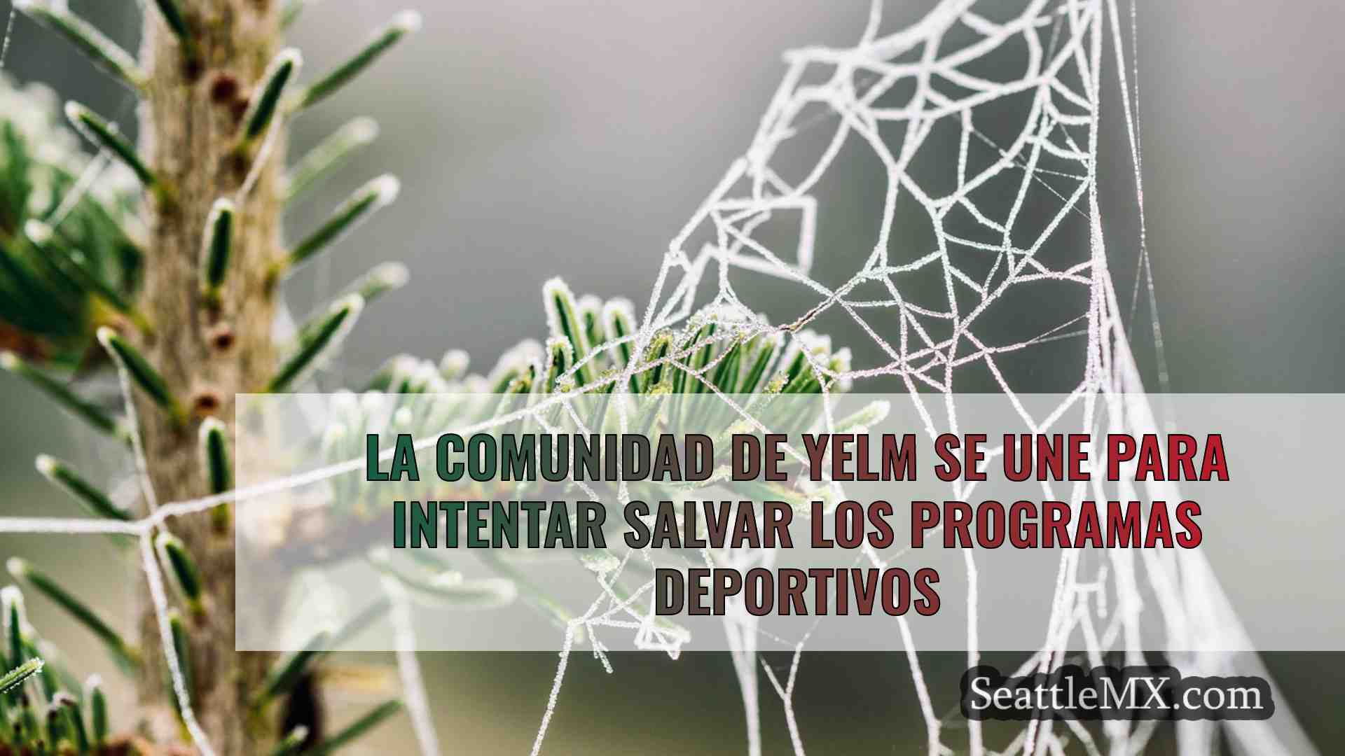 Noticias de Seattle SeattleMX