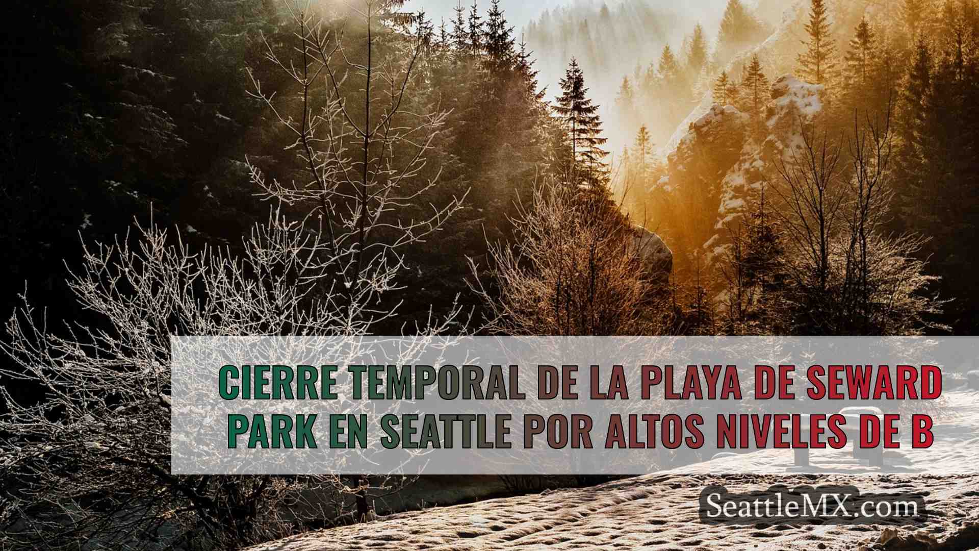 Noticias de Seattle SeattleMX