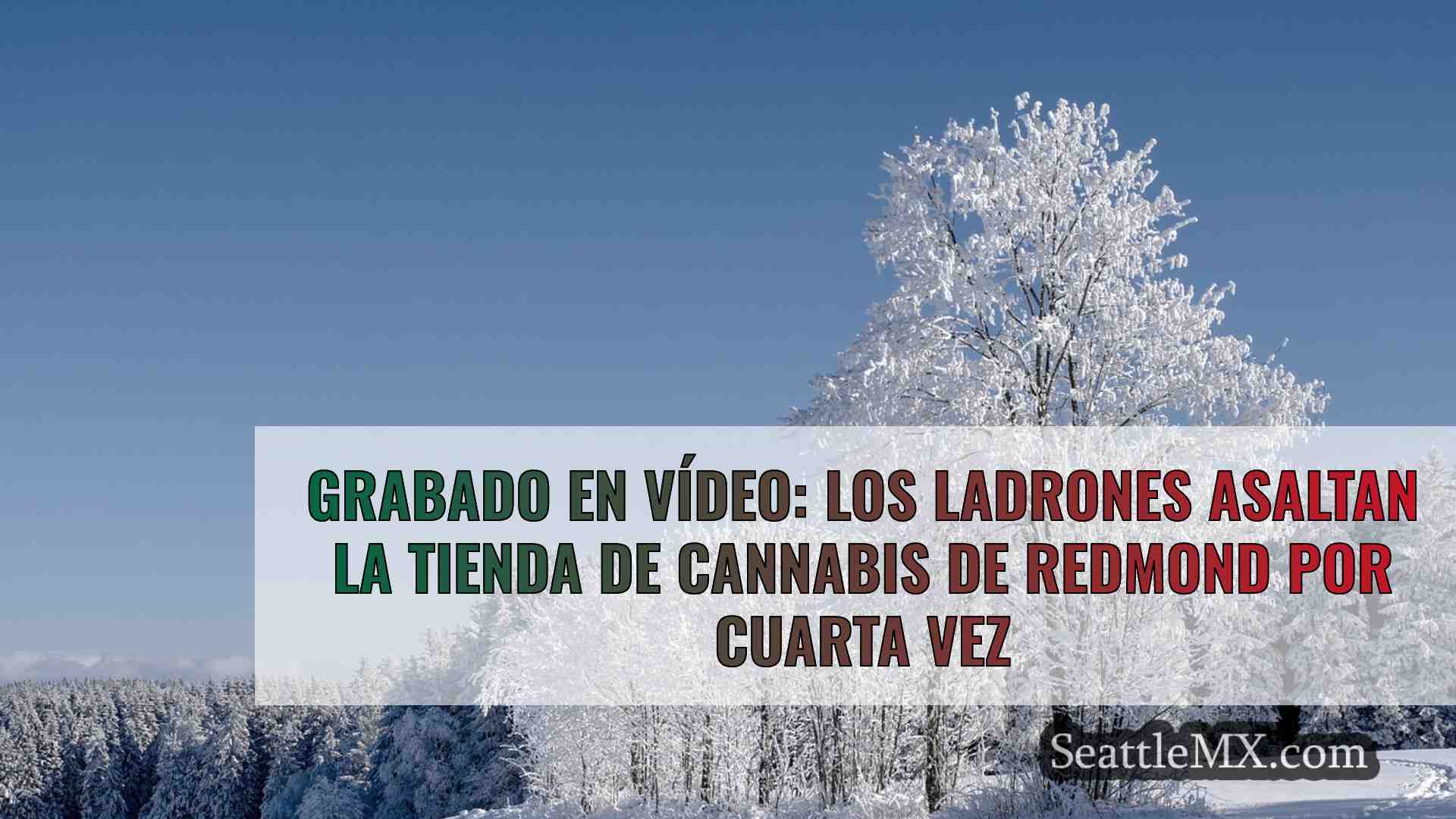 Grabado en vídeo: Los ladrones asaltan