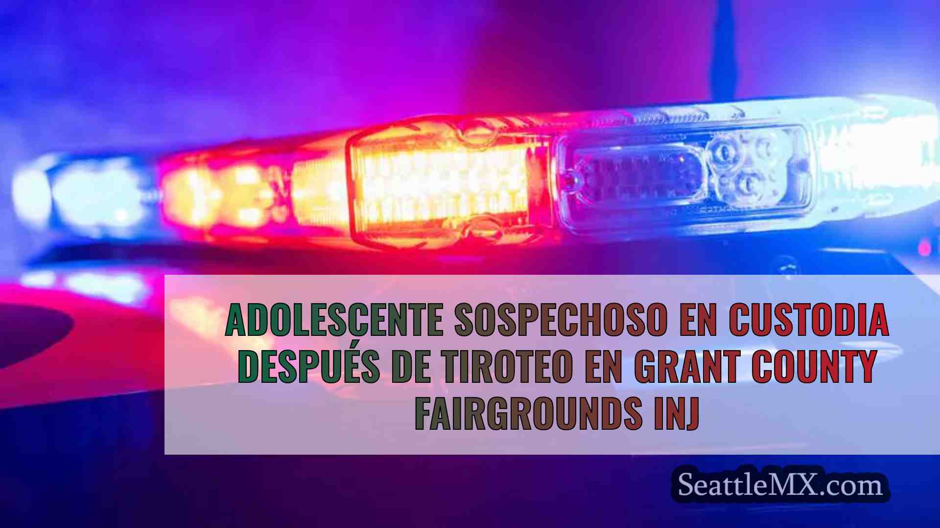 Adolescente sospechoso detenido tras