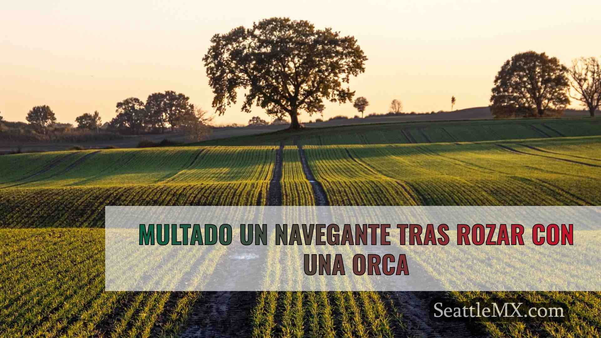 Multado un navegante tras rozar con una