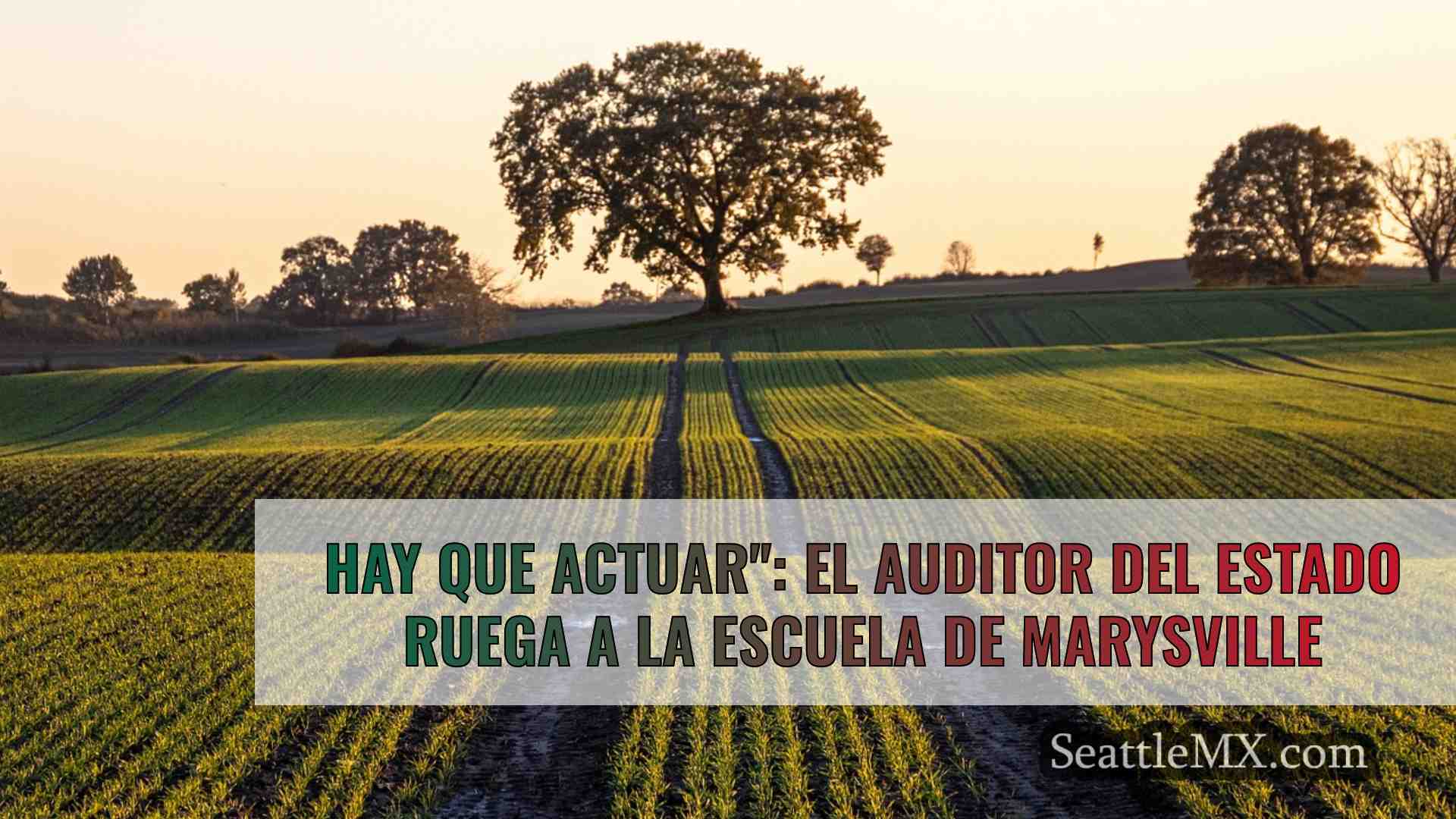 Hay que actuar: súplicas del Auditor