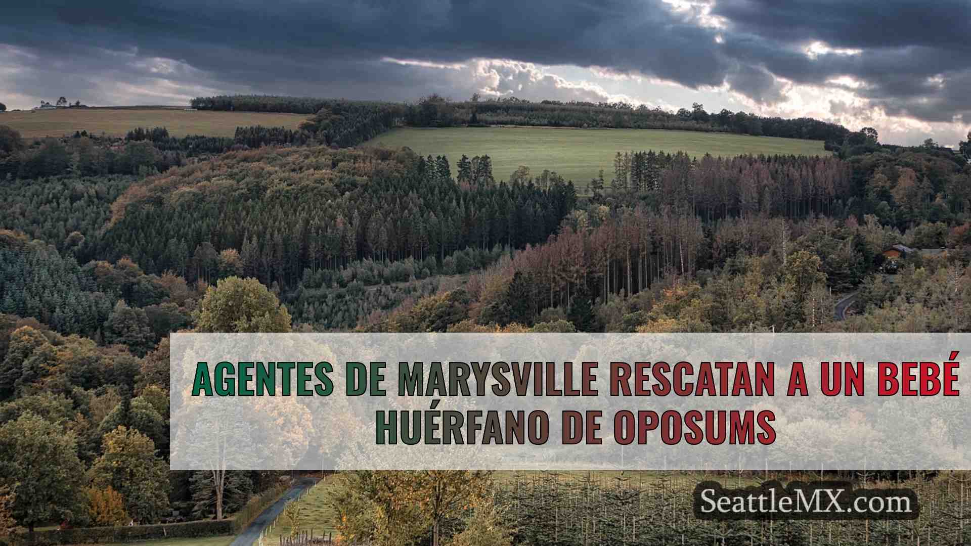 Noticias de Seattle SeattleMX