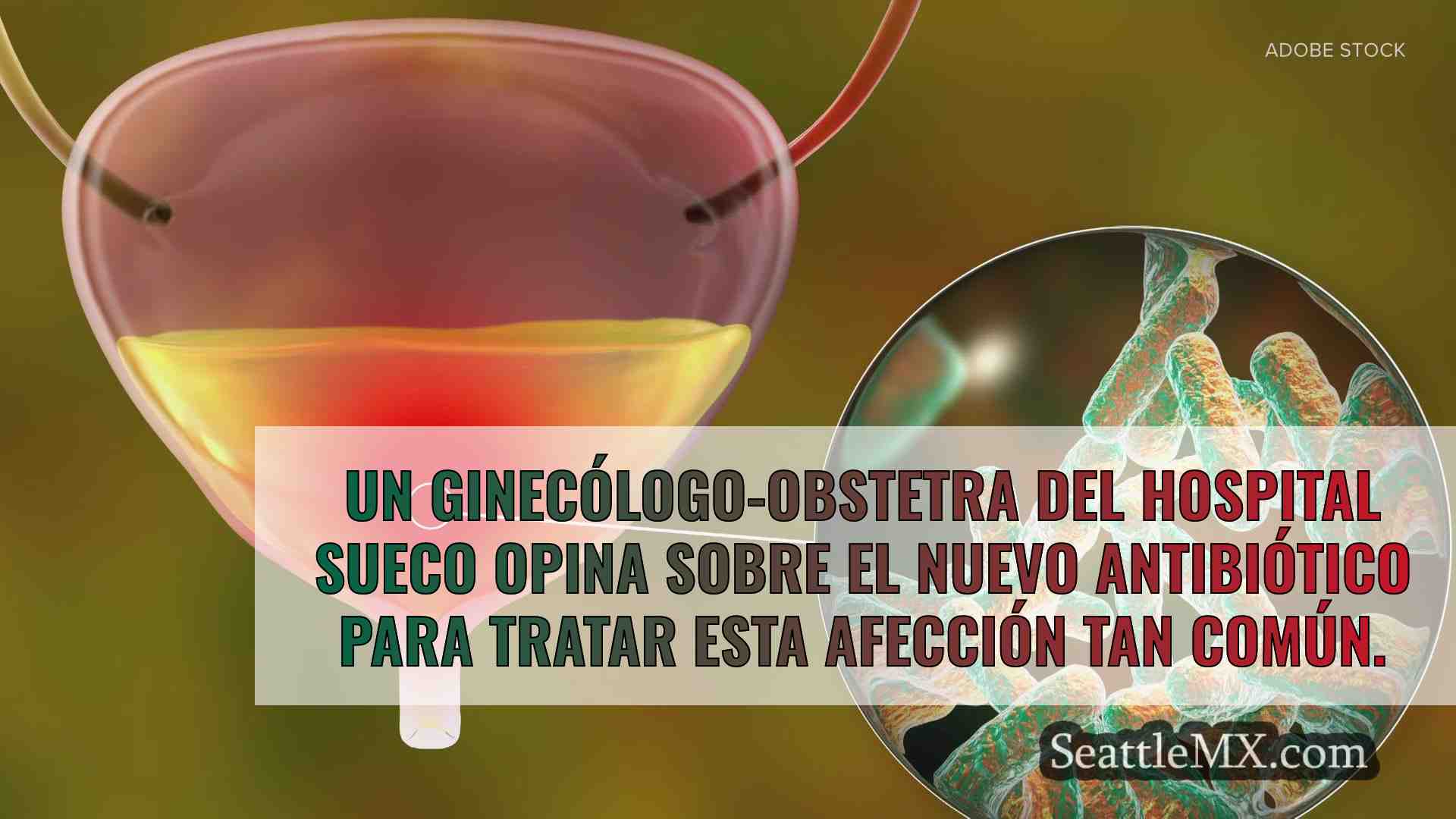 Nuevo antibiótico aprobado en EE.UU.