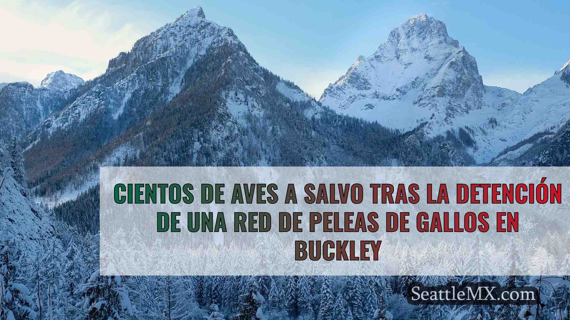 Cientos de aves a salvo tras la