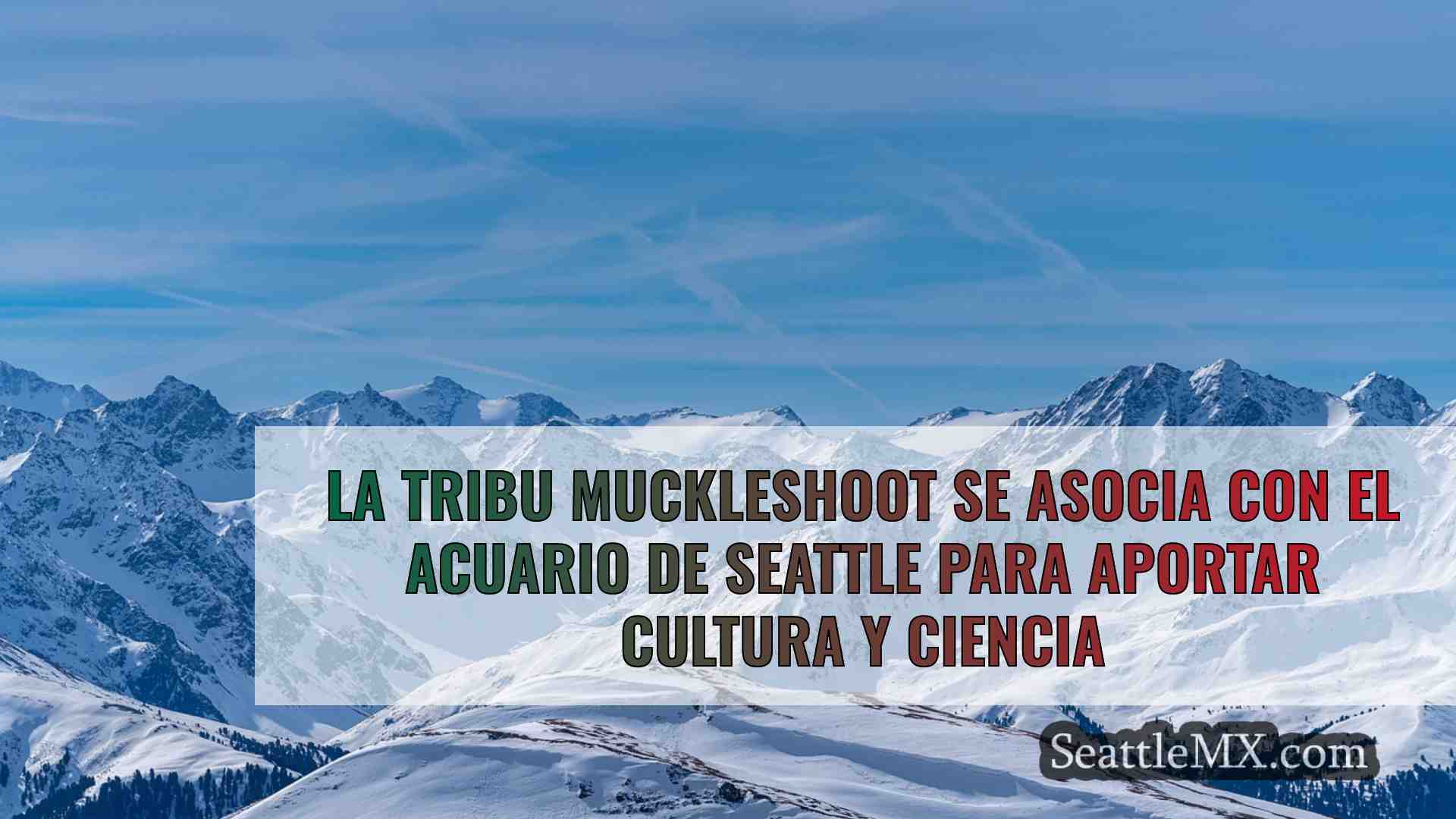 Noticias de Seattle SeattleMX