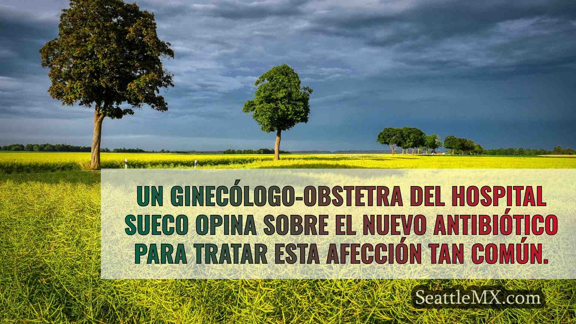 Noticias de Seattle SeattleMX