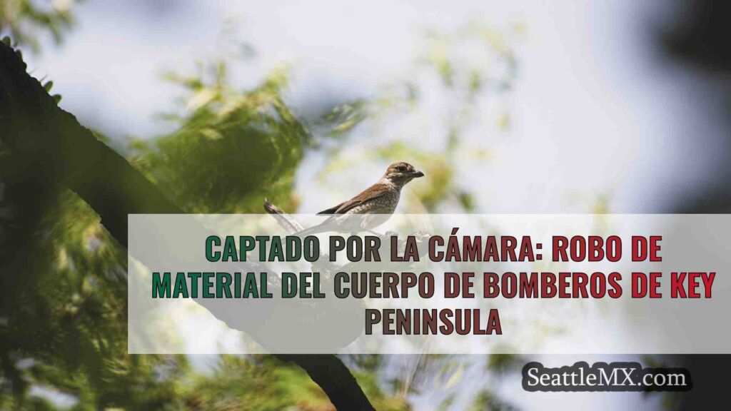 Captado por la cámara: Robo de material