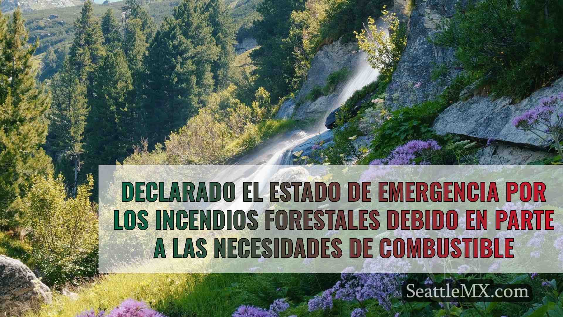 Declarado el estado de emergencia por