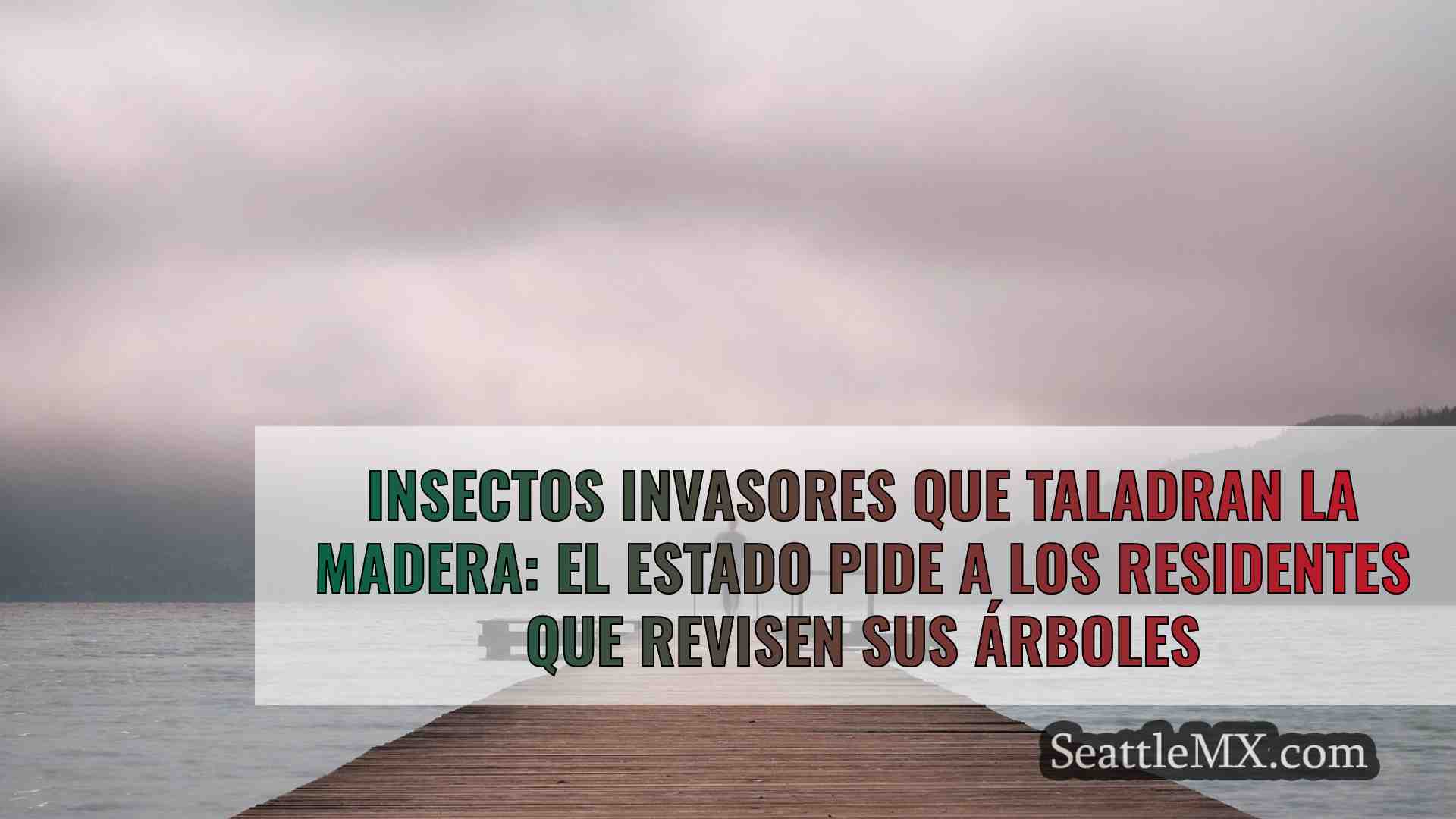 Noticias de Seattle SeattleMX