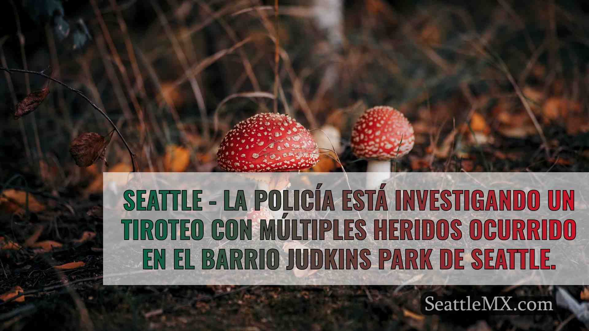 Noticias de Seattle SeattleMX