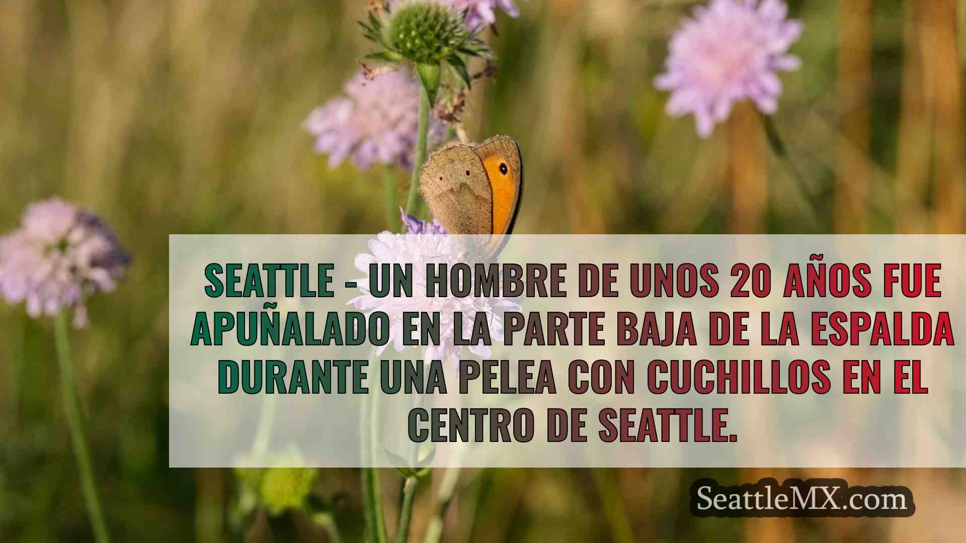 Noticias de Seattle SeattleMX