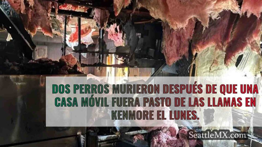 Mueren dos perros en el incendio de una