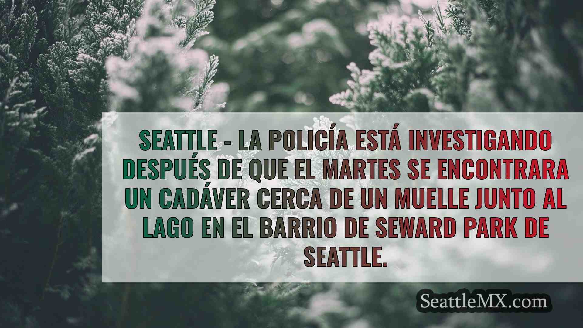 Noticias de Seattle SeattleMX
