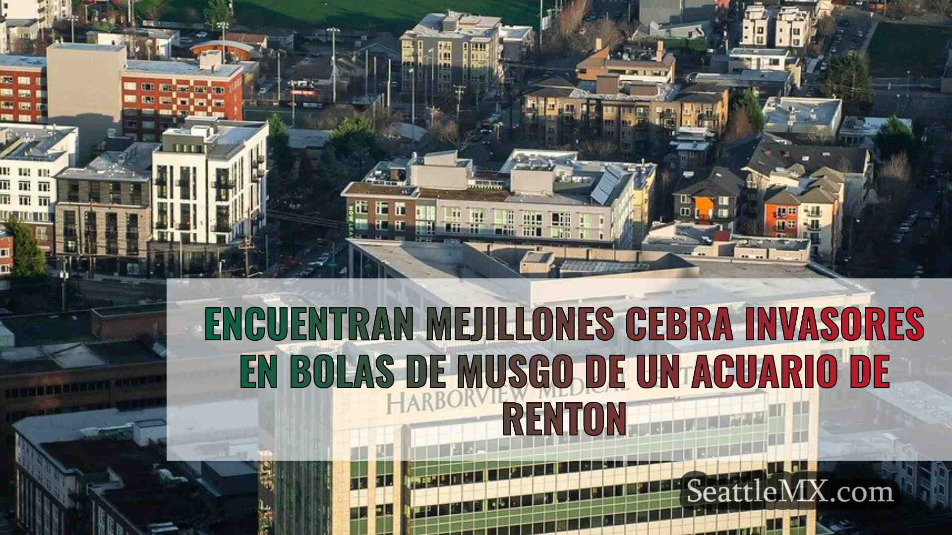 Noticias de Seattle SeattleMX