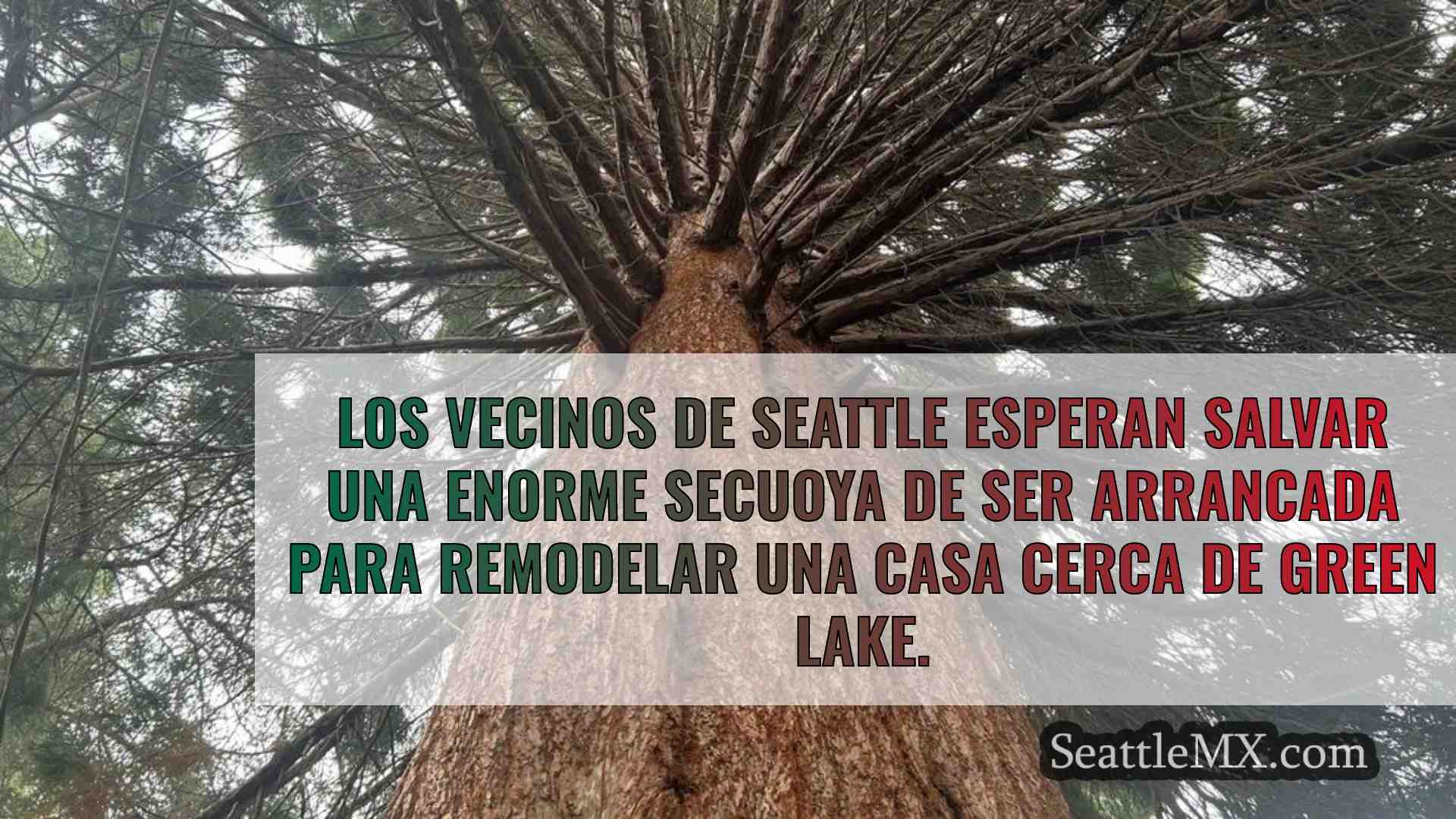 La comunidad se reúne para apoyar la