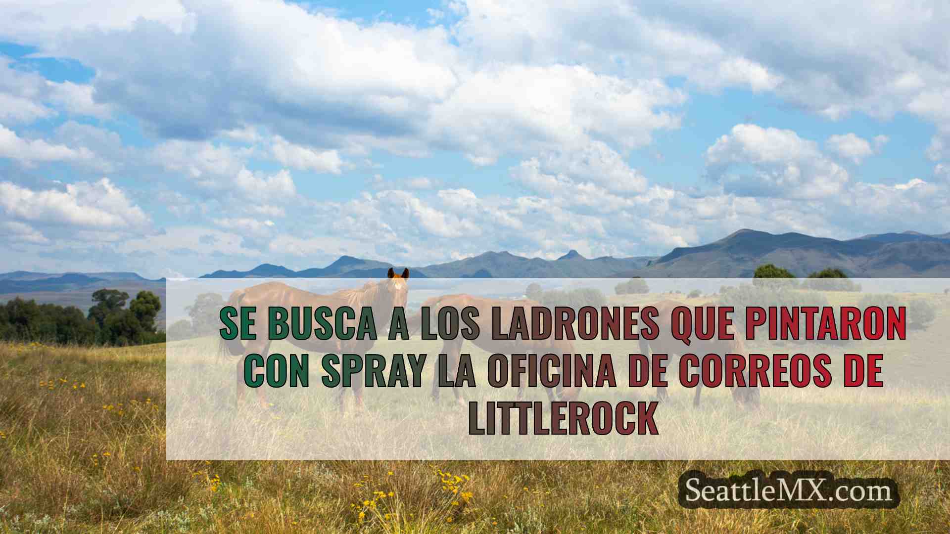 Noticias de Seattle SeattleMX