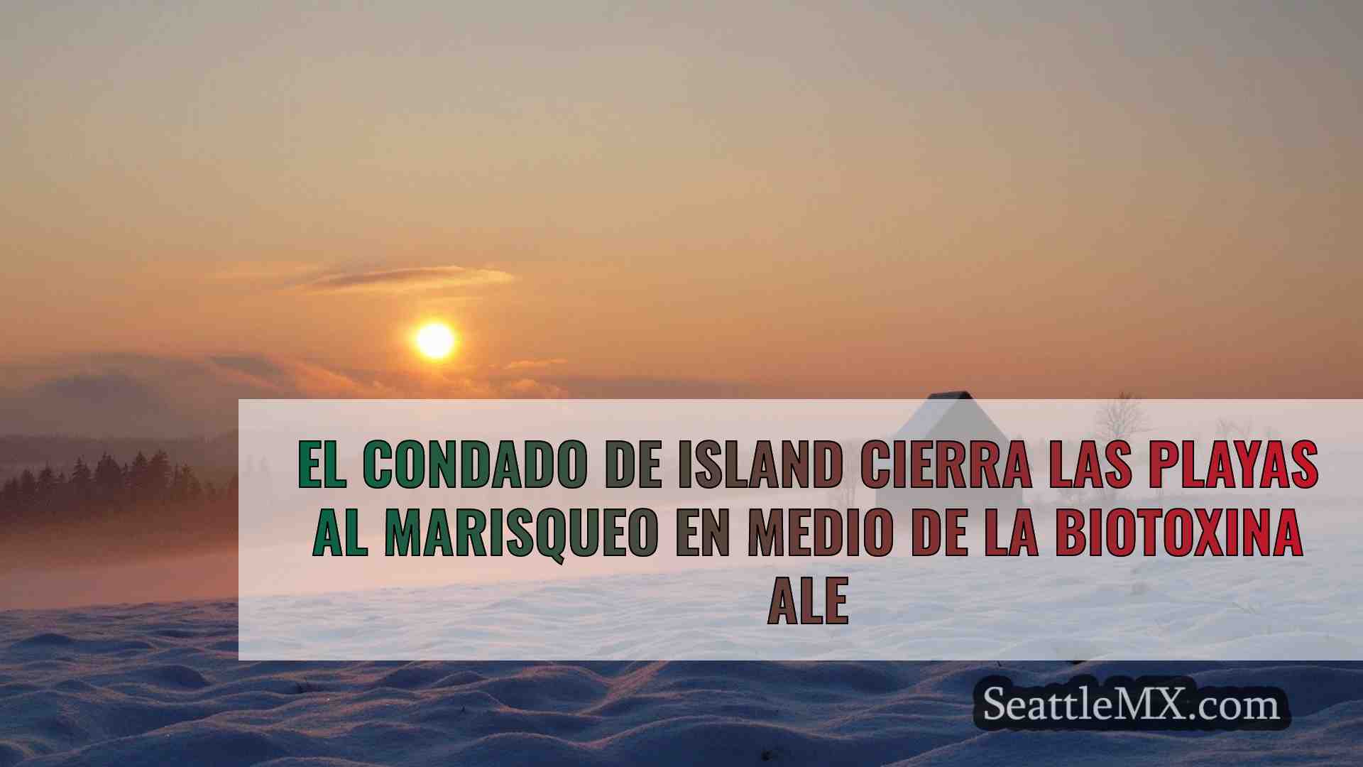 Noticias de Seattle SeattleMX