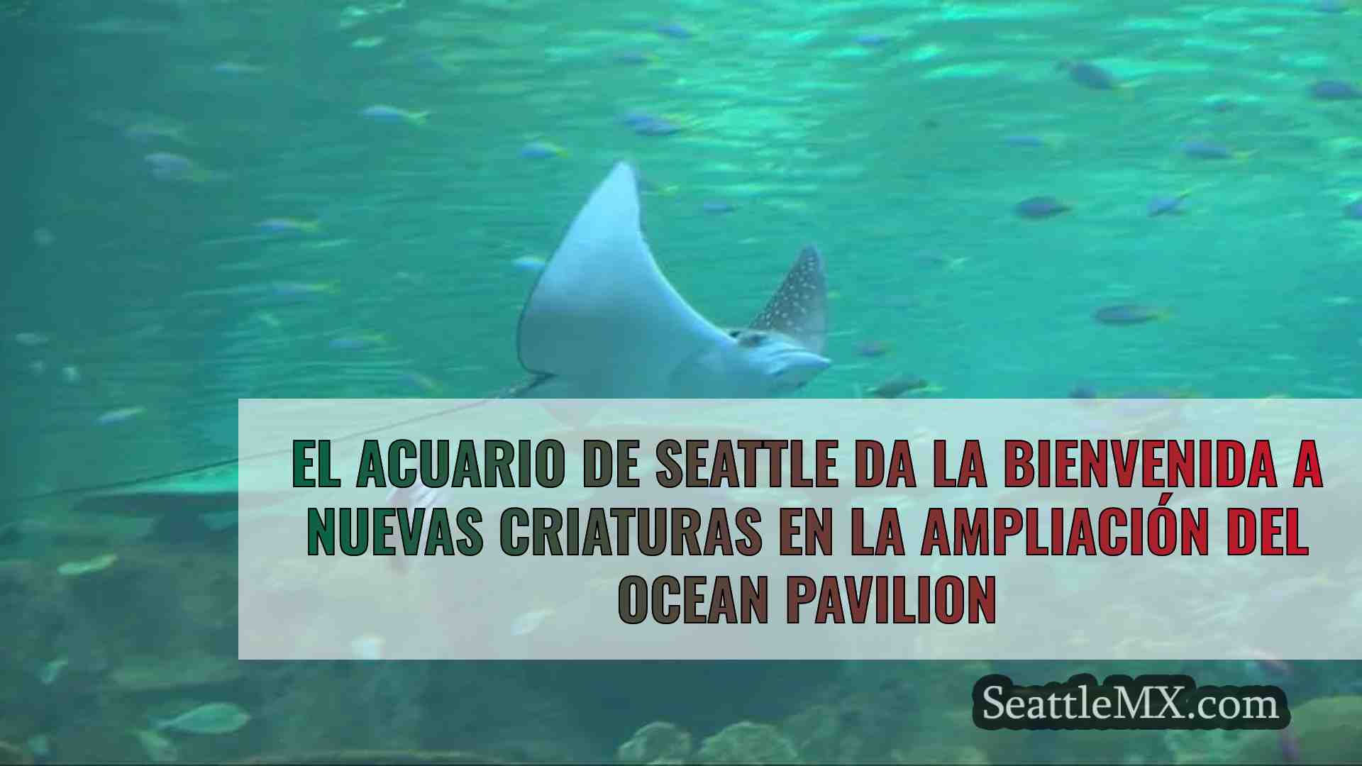 El acuario de Seattle da la bienvenida