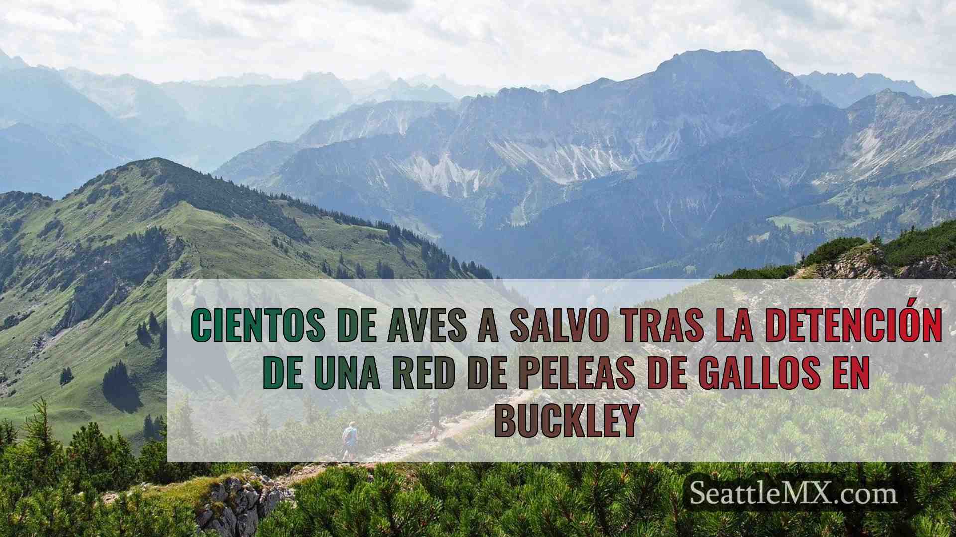 Noticias de Seattle SeattleMX