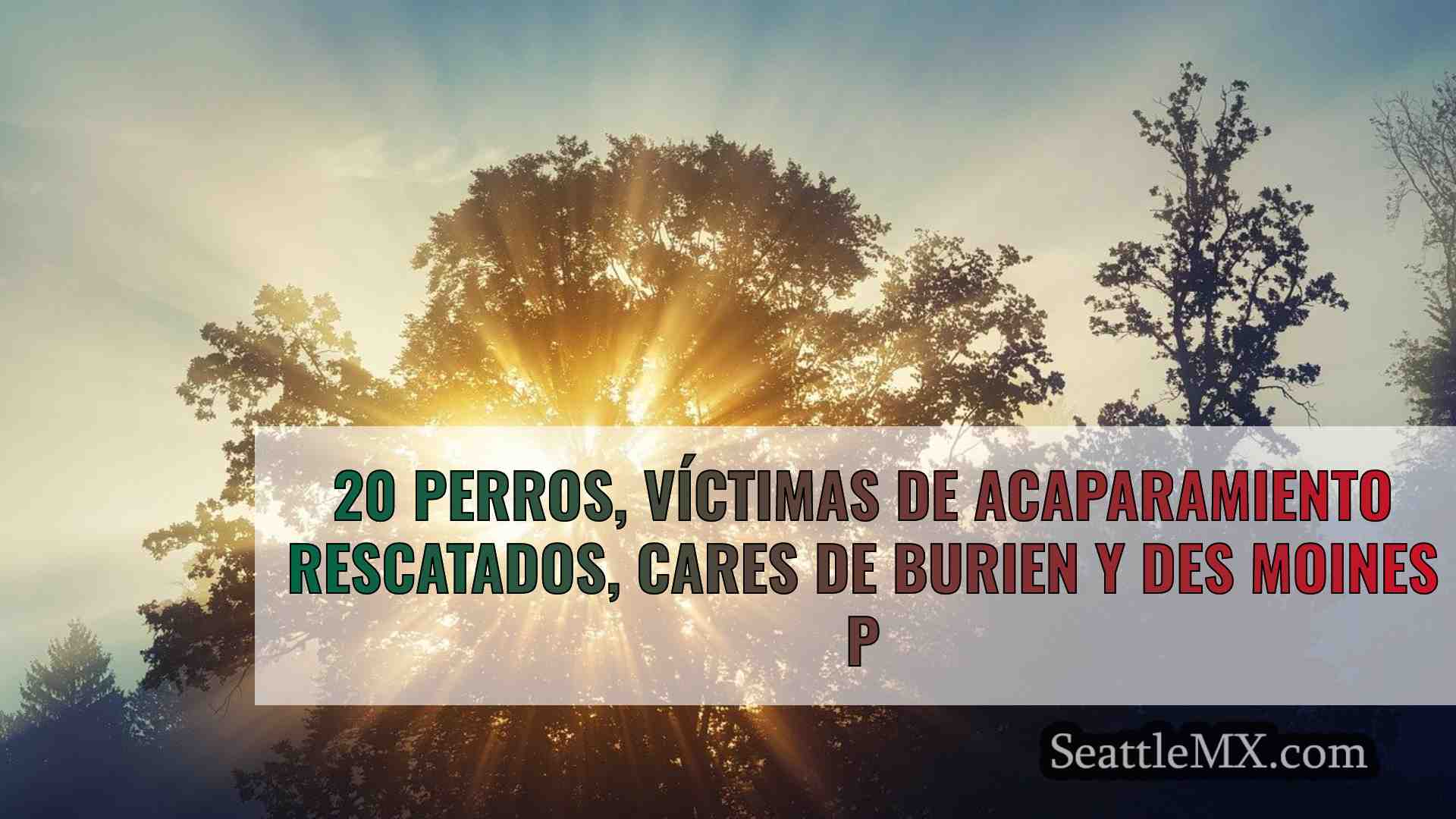 Noticias de Seattle SeattleMX