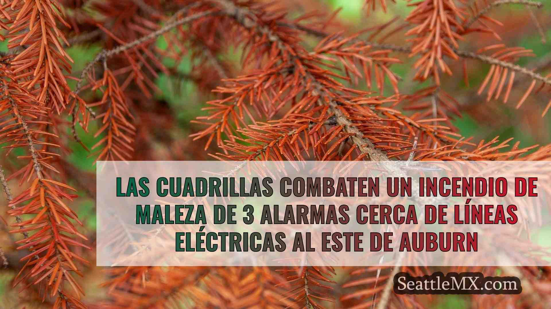 Noticias de Seattle SeattleMX