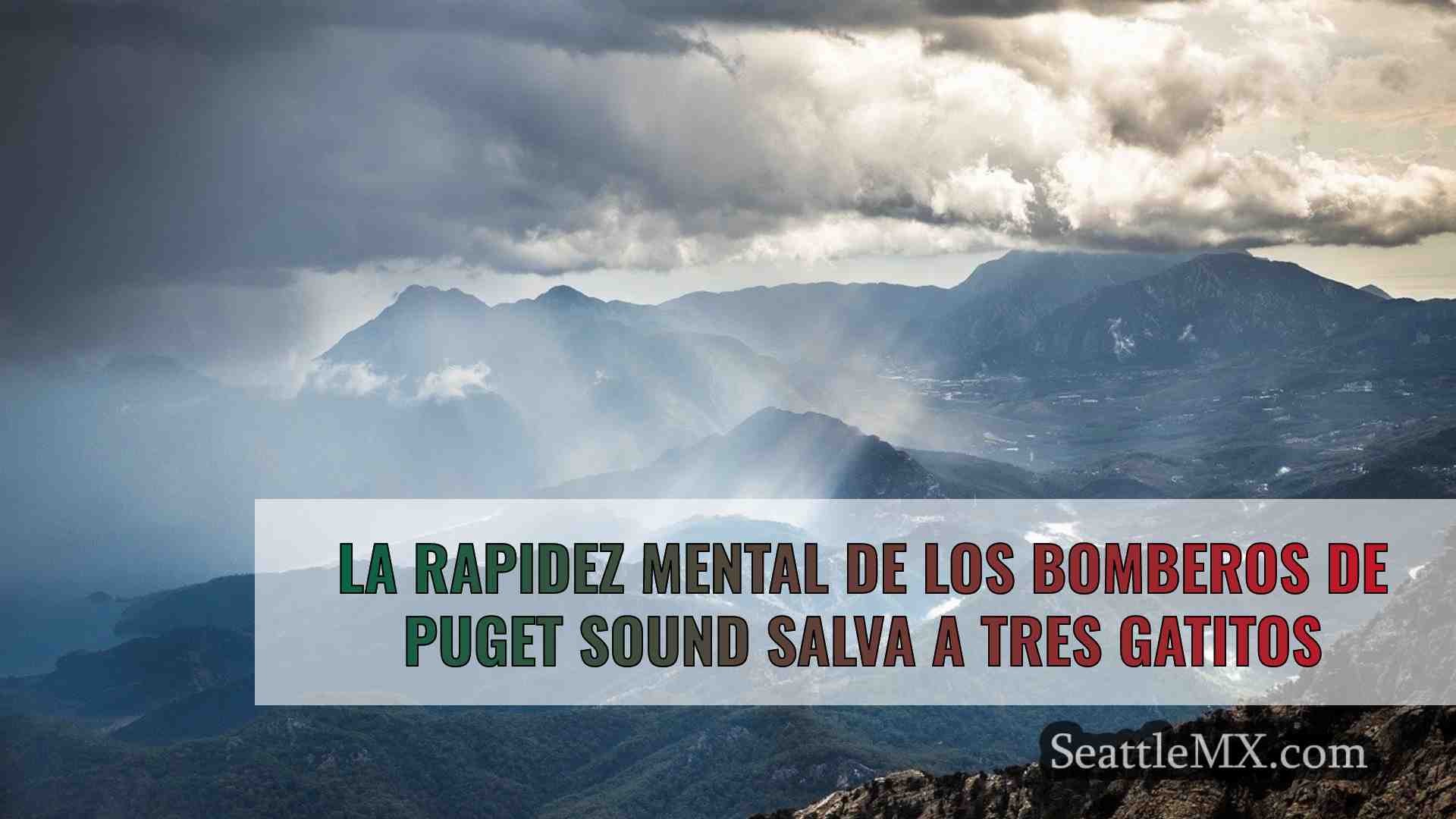 Noticias de Seattle SeattleMX