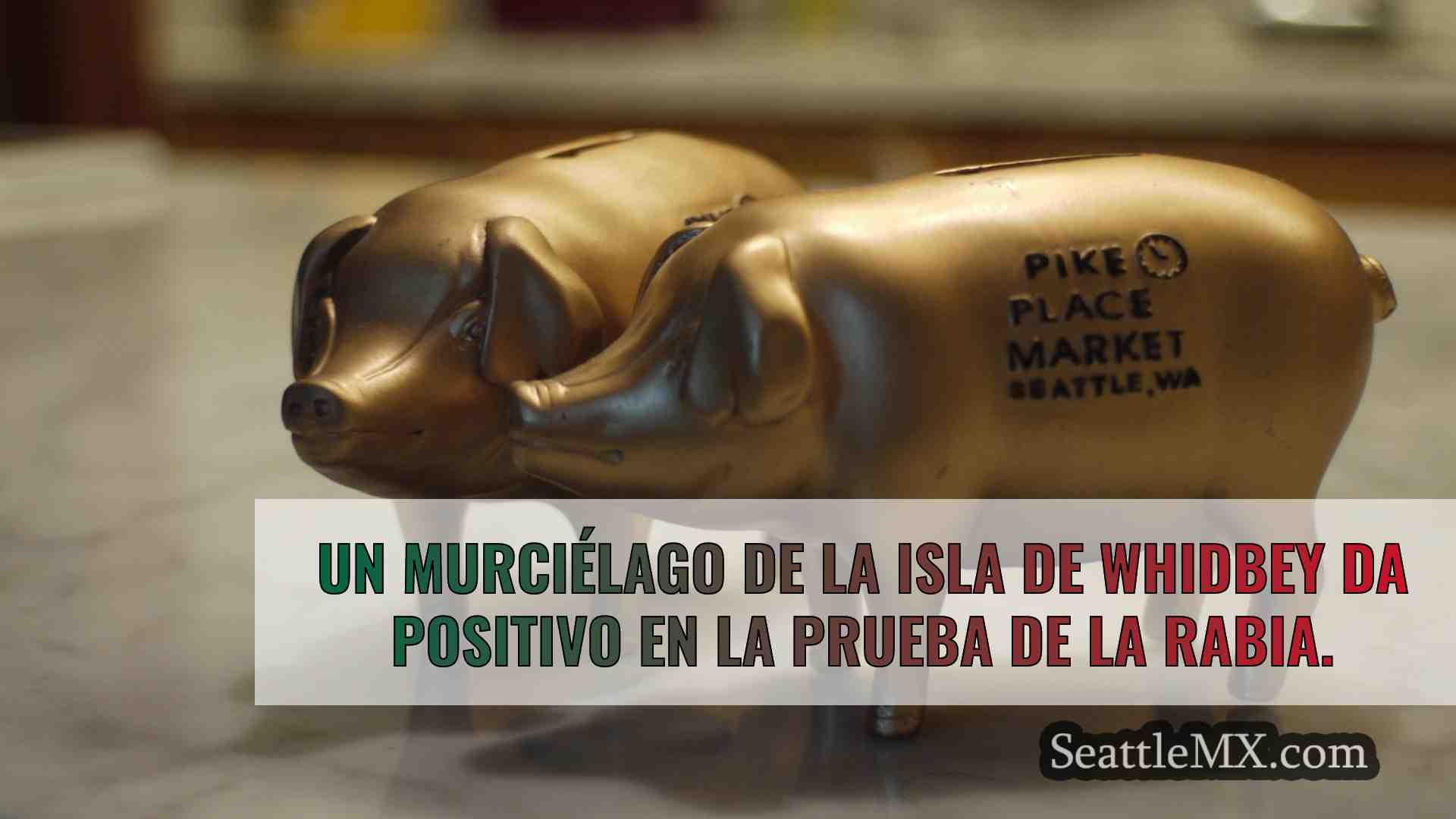 Noticias de Seattle SeattleMX