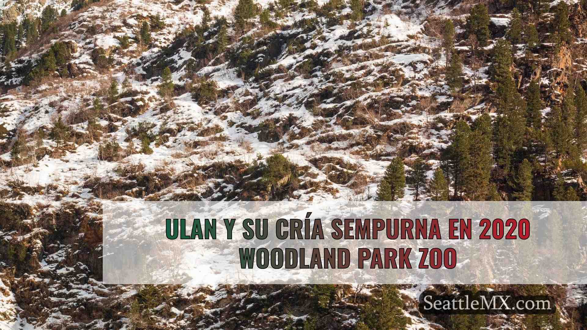 Última oportunidad de ver el último
