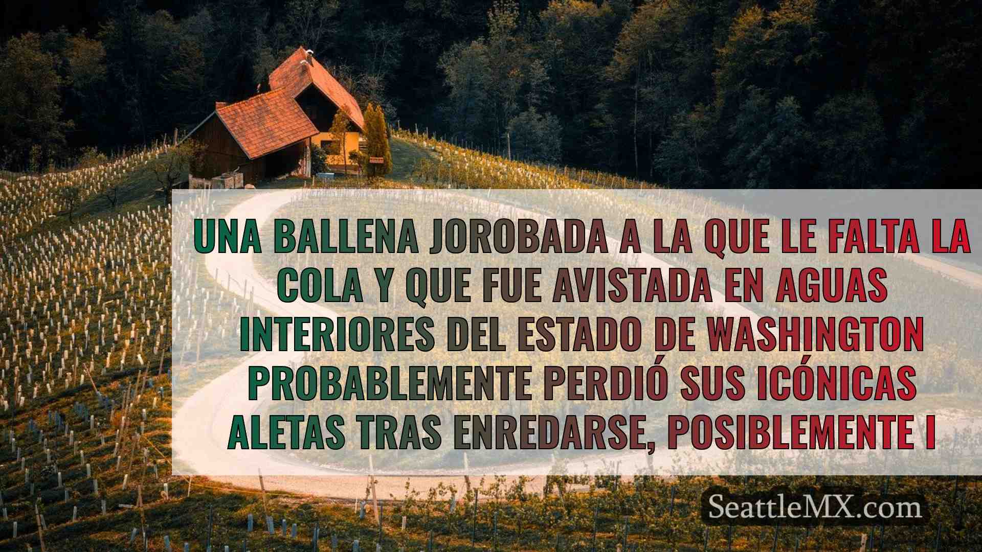 Noticias de Seattle SeattleMX