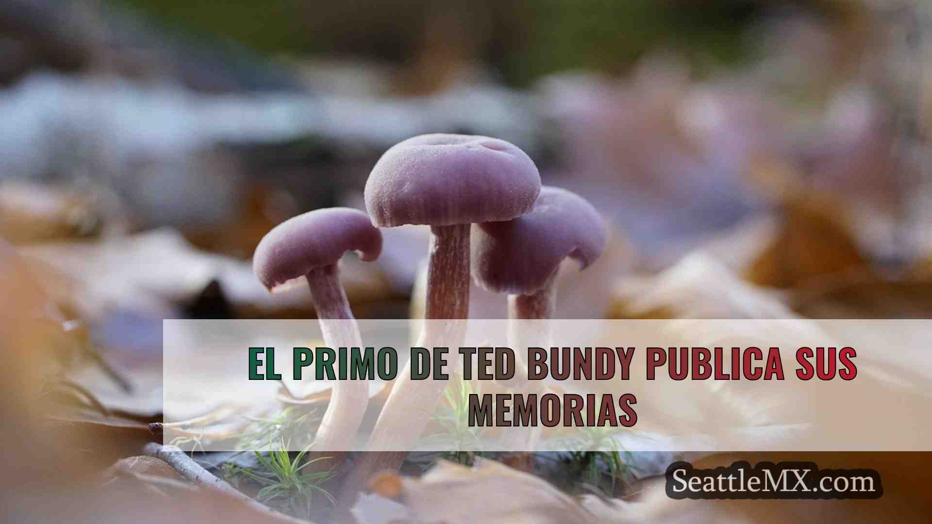Noticias de Seattle SeattleMX