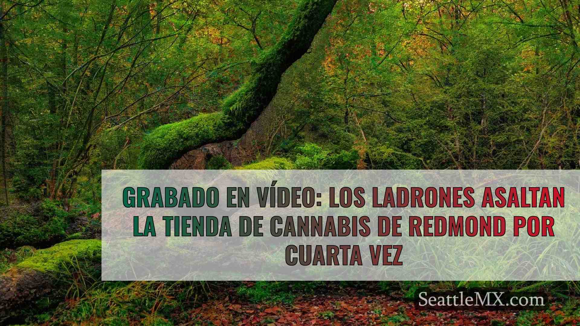 Noticias de Seattle SeattleMX